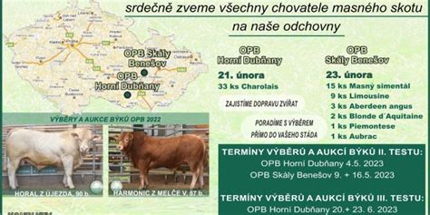 Proces selekcie plemenných býkov