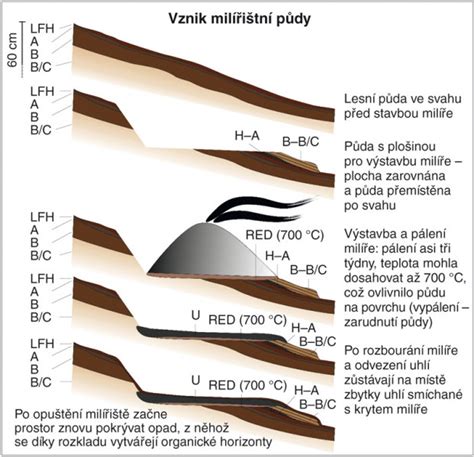 Schéma vzniku čiernej bodky v póre