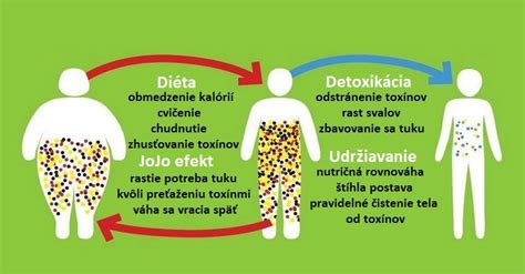 Schéma detoxikácie organizmu