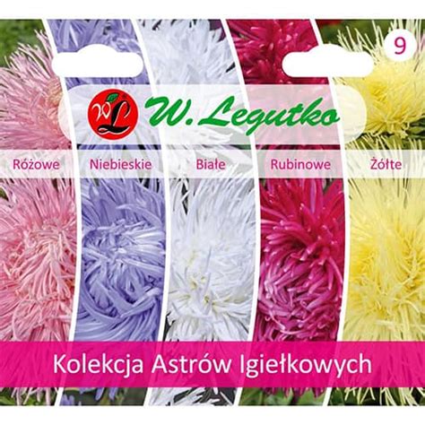 Kolekcia rôznych odrôd Čiernookej Zuzany
