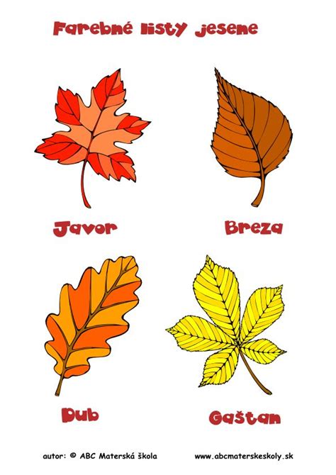 farebné listy krotónovca