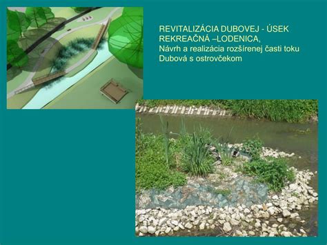 Rast ježatca laločnatého v blízkosti vodného toku