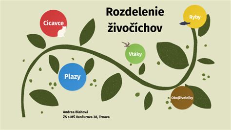 Rozdelenie typov rozmnožovania živočíchov