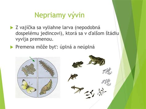 Sekundárne pohlavné znaky u živočíchov