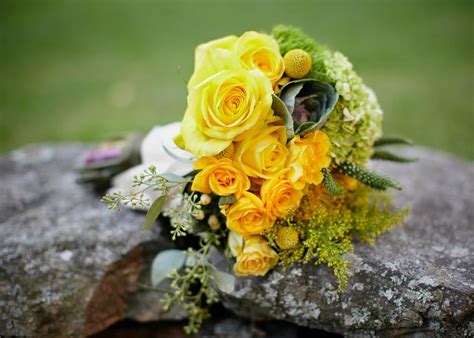 Symbolika farieb kvetov