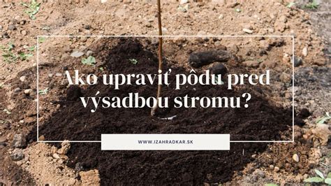 Porovnanie vhodných a nevhodných materiálov pre výsadbovú jamu