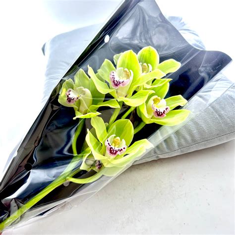 Zelená orchidea v kytici