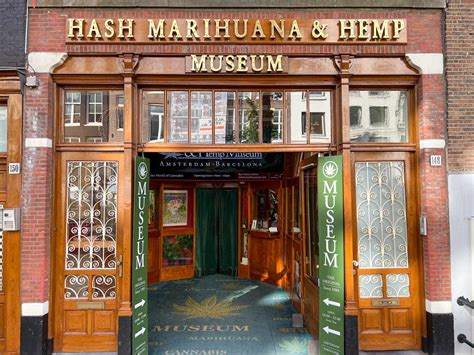Mýty a skutočnosť o legalizácii marihuany v Holandsku